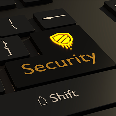 Spartan Cyber Security LLC Guarantee